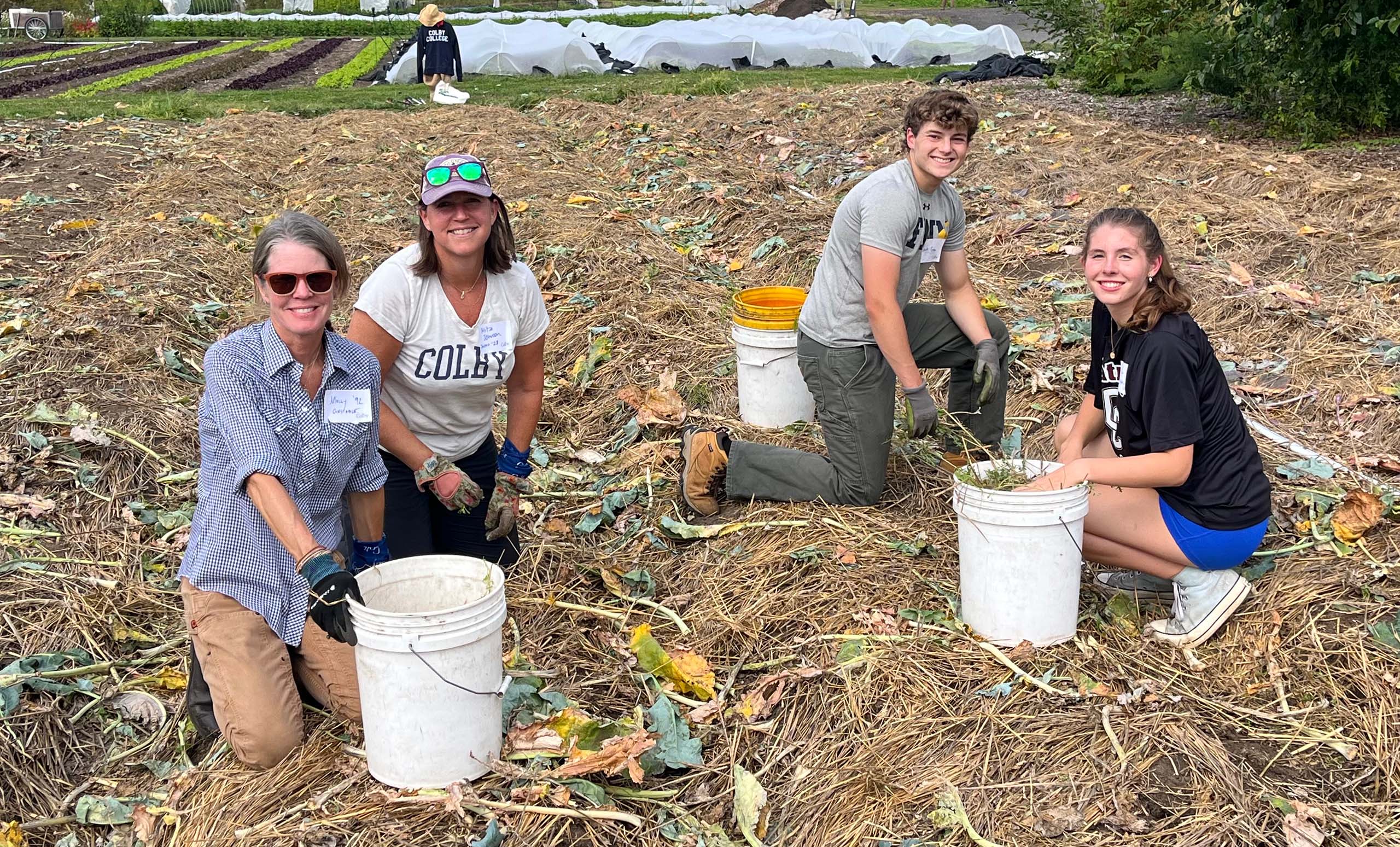 Colby alumni volunteer at Gaining Ground, a nonprofit organic farm in Concord, Mass. during Alumni Day of Service 2025.