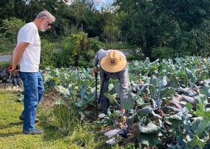 Colby alumni volunteer at Gaining Ground, a nonprofit organic farm in Concord, Mass. during Alumni Day of Service 2025.